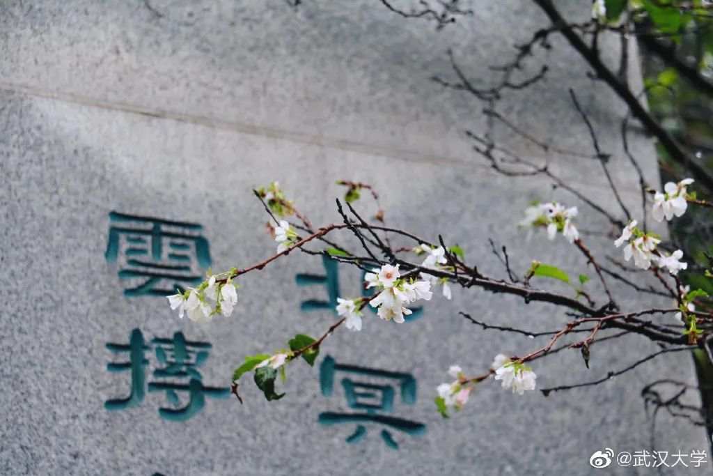 △武汉大学