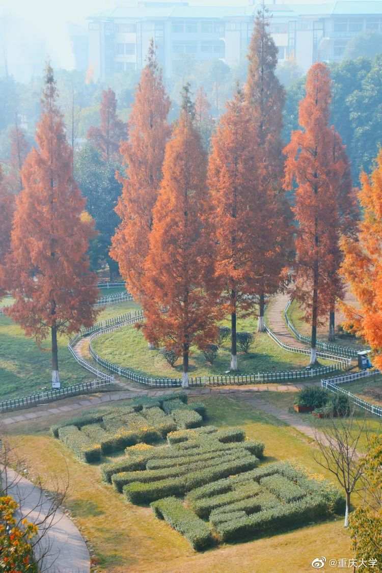 △重庆大学