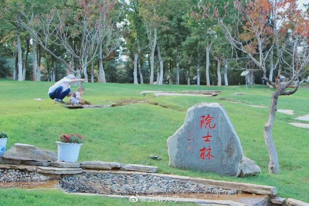 △云南大学