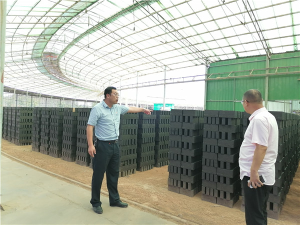 驻村第一书记沈辉小村也有大辉煌