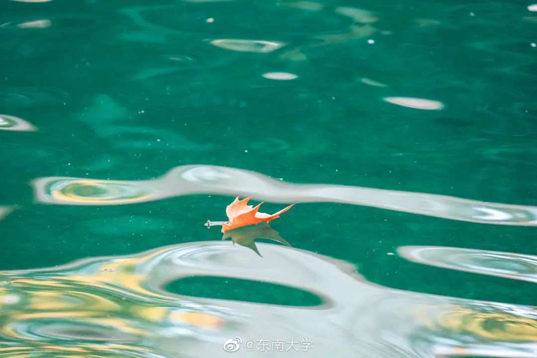 △东南大学