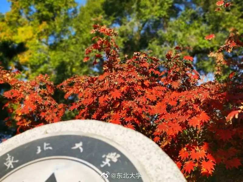 △东北大学