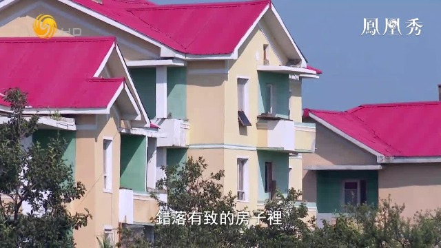 在“别墅”旁边种菜？实拍朝鲜农民的生活状态