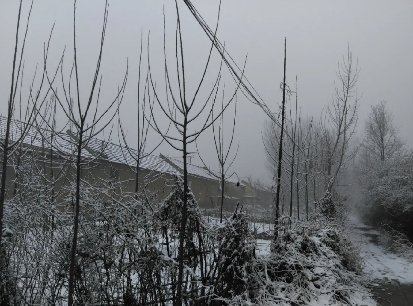 魏思孝老家屋后的雪景。