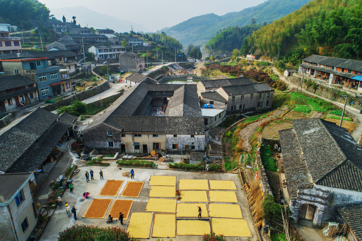 今天上午,由宁海县黄坛镇人民政府主办的2020"走进双峰,榧同一般"