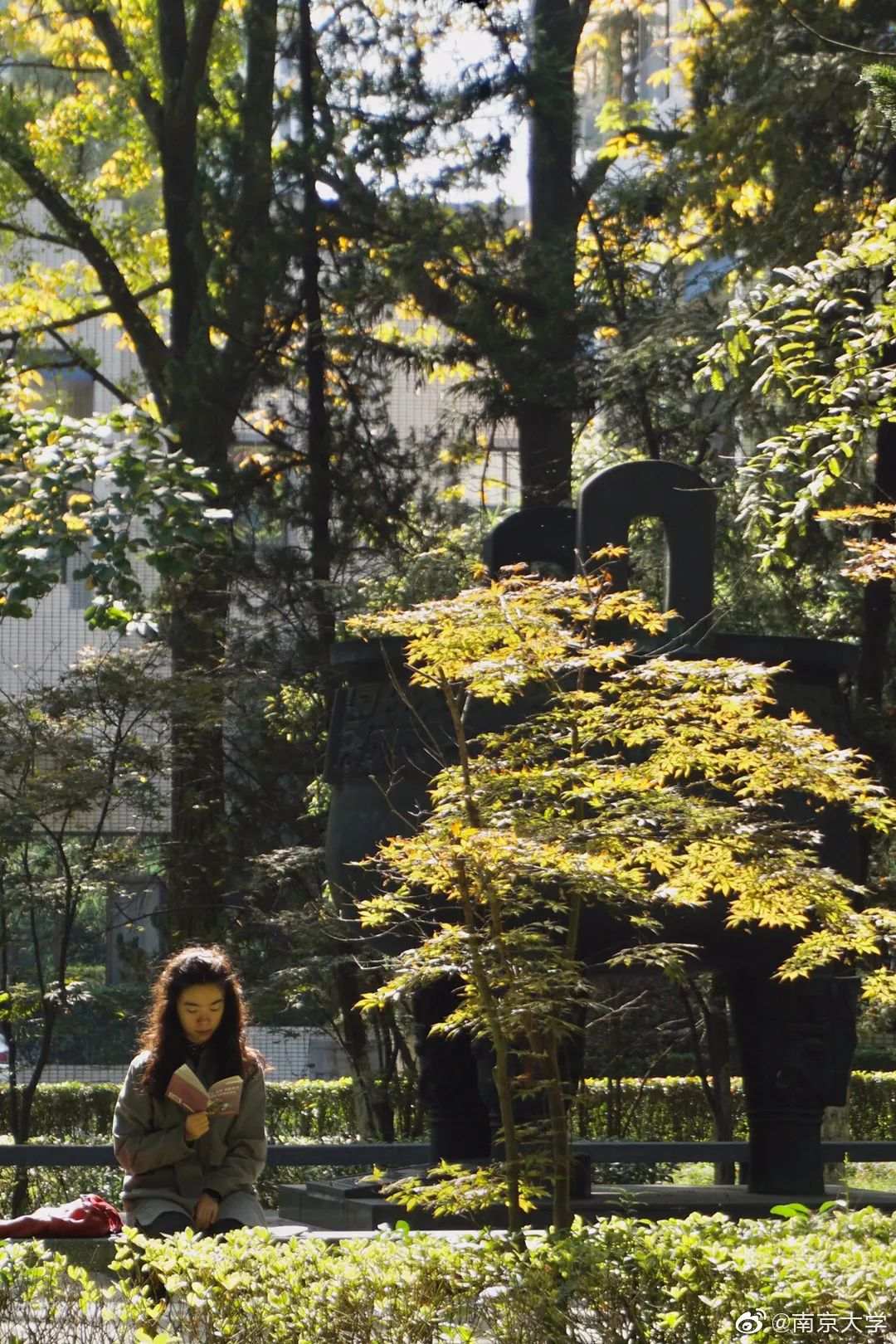 △南京大学