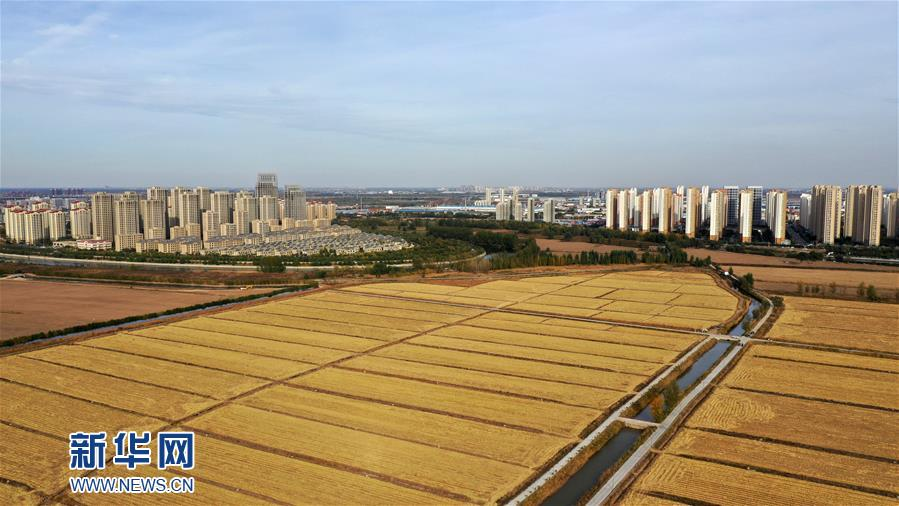 这是天津市北辰区一景(10月27日摄,无人机照片).