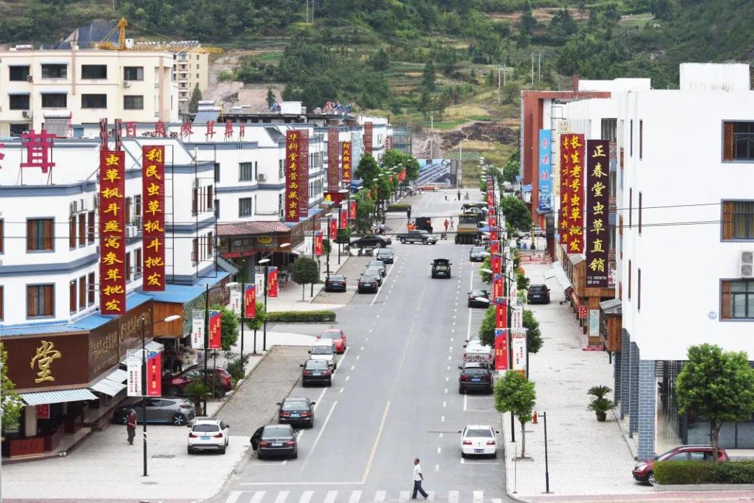 省里正式命名恭喜磐安这个特色小镇