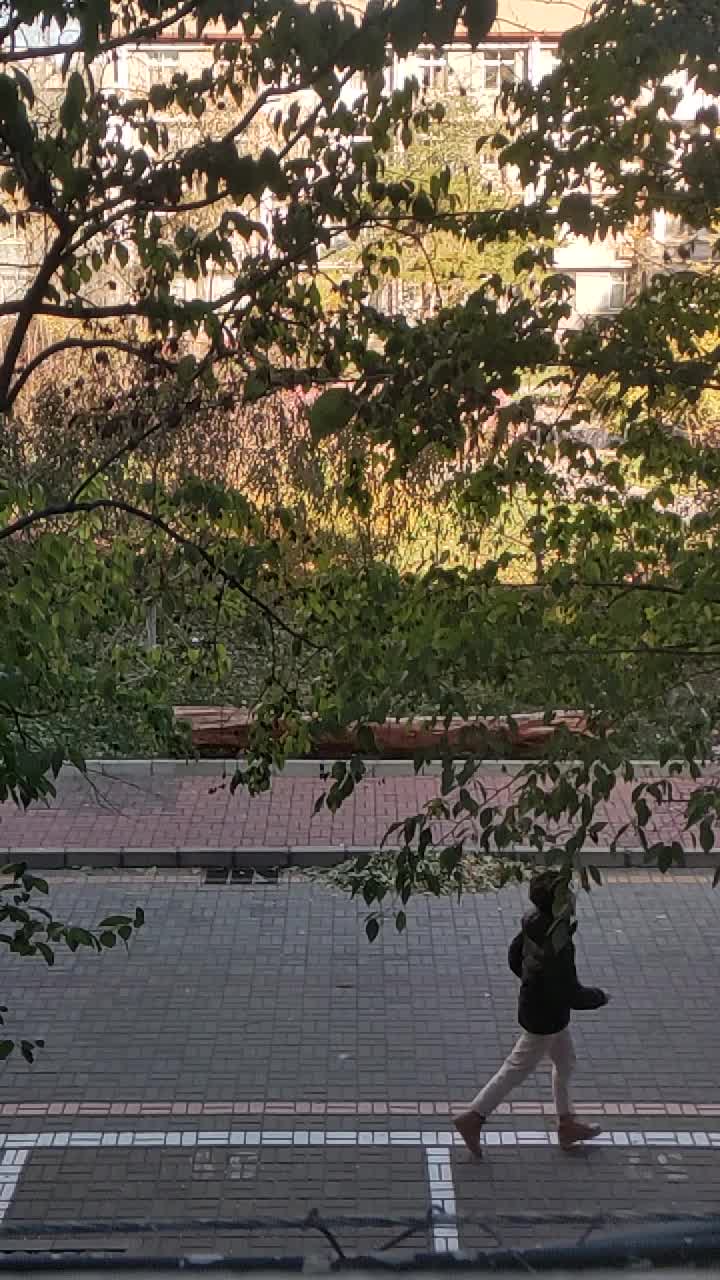 56 北京师范大学 影像史学专业 徐明宇