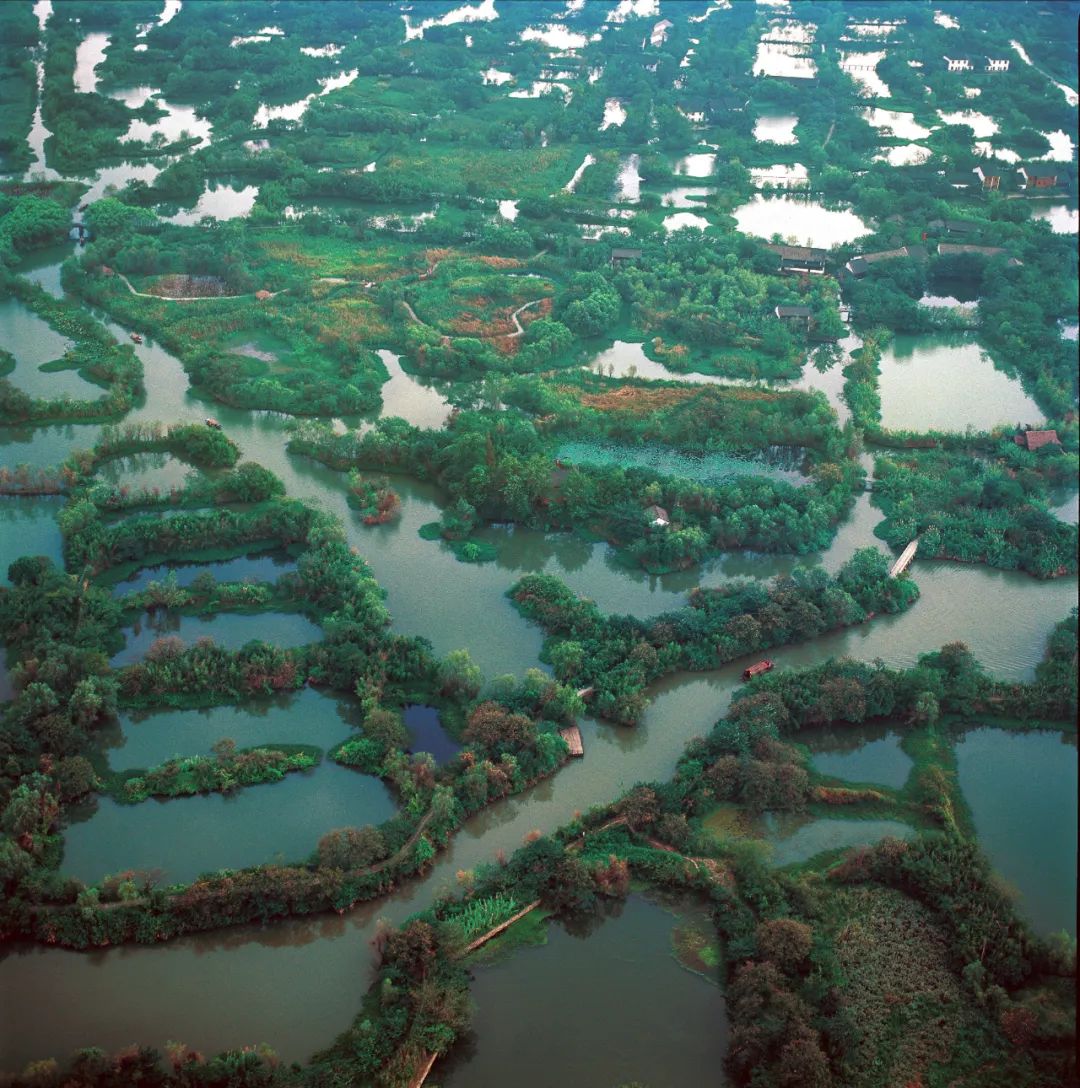 西溪湿地朝天暮漾生态保护区