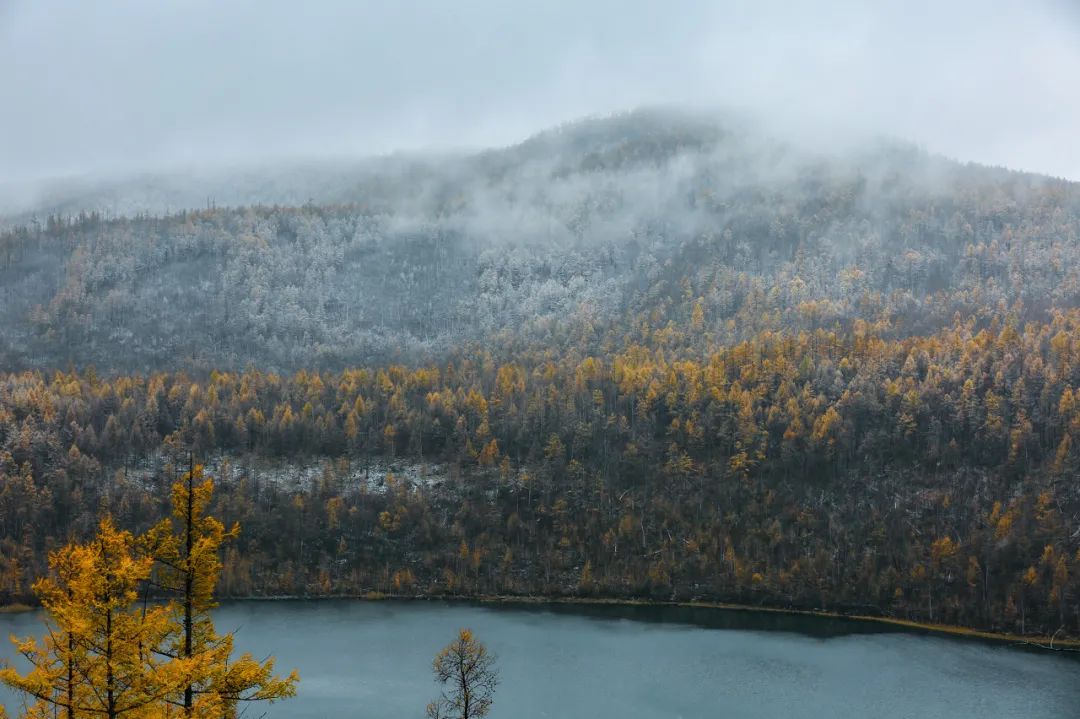 △层林尽染的阿尔山/图虫