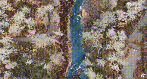△阿尔山已下第一场初雪/微博·图源见水印