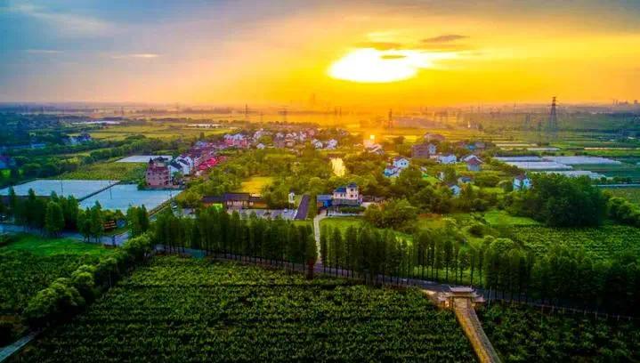 嘉兴五县市两区全部上榜2020中国城乡统筹百佳县市