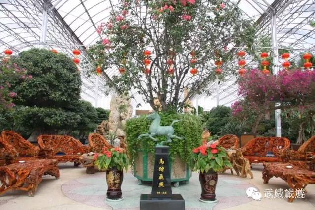 冬春游武威 走进晶莹剔透的童话世界