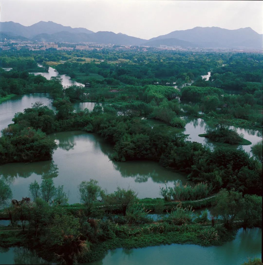 西溪湿地虾龙滩生态保护区 （杭州西溪湿地公园管理委员会提供）
