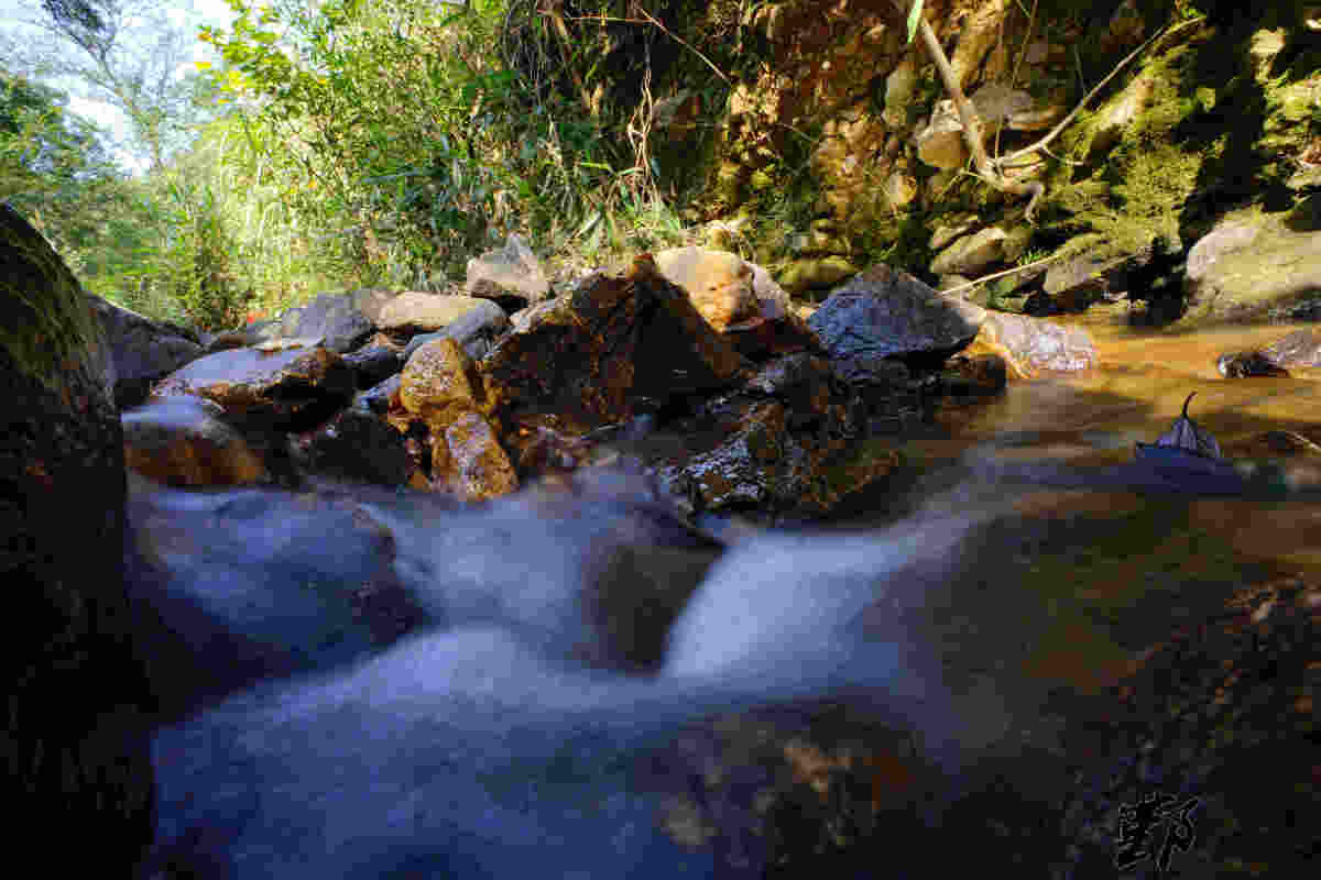 瞻岐大岭古道 (1).jpg