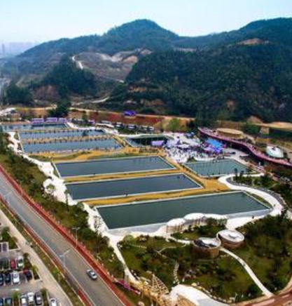 (图:中国浮漂之乡——临湘)作为从"中国浮漂之乡"成长起来的品牌,冠芦