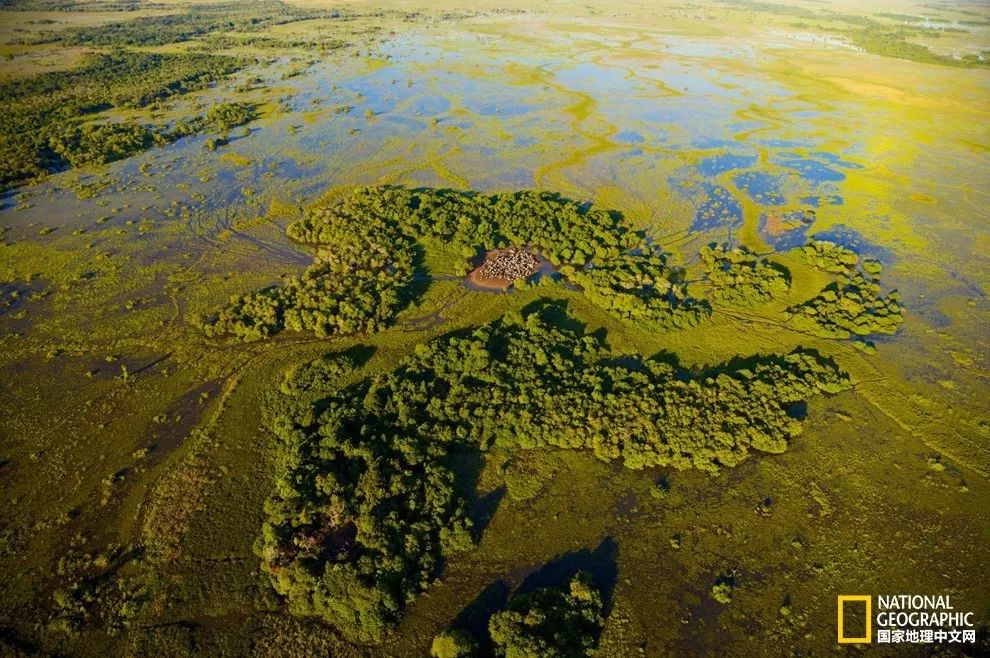 世界最大的湿地，巴西潘塔纳尔湿地。摄影／YANN ARTHUS-BERTRAND, GETTY IMAGES