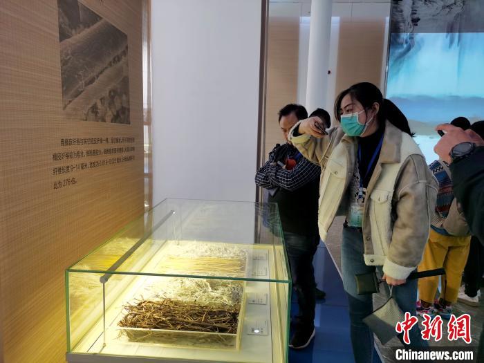 点击进入下一页