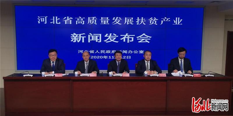 发布会现场。 杨强强摄