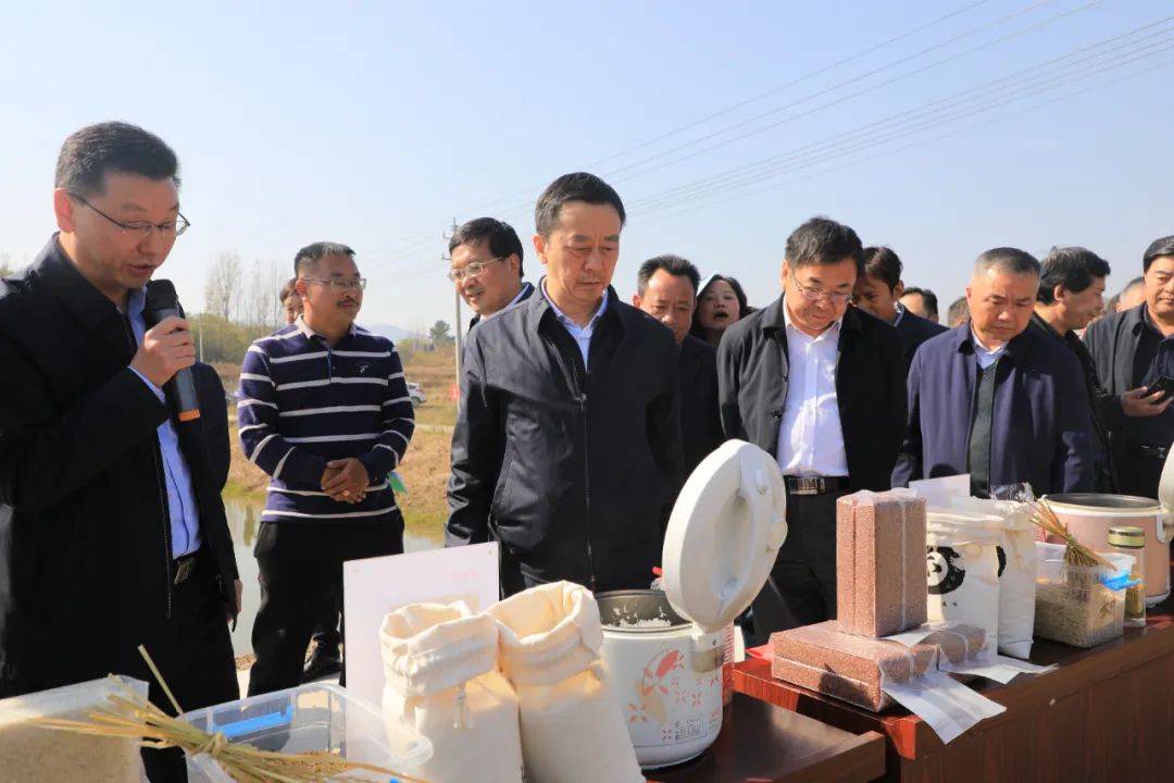 谭家河乡四里桥村天之润茶业有限公司,聚强生态农业专业合作社,游河乡