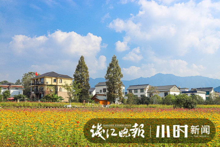 建德下涯之江村