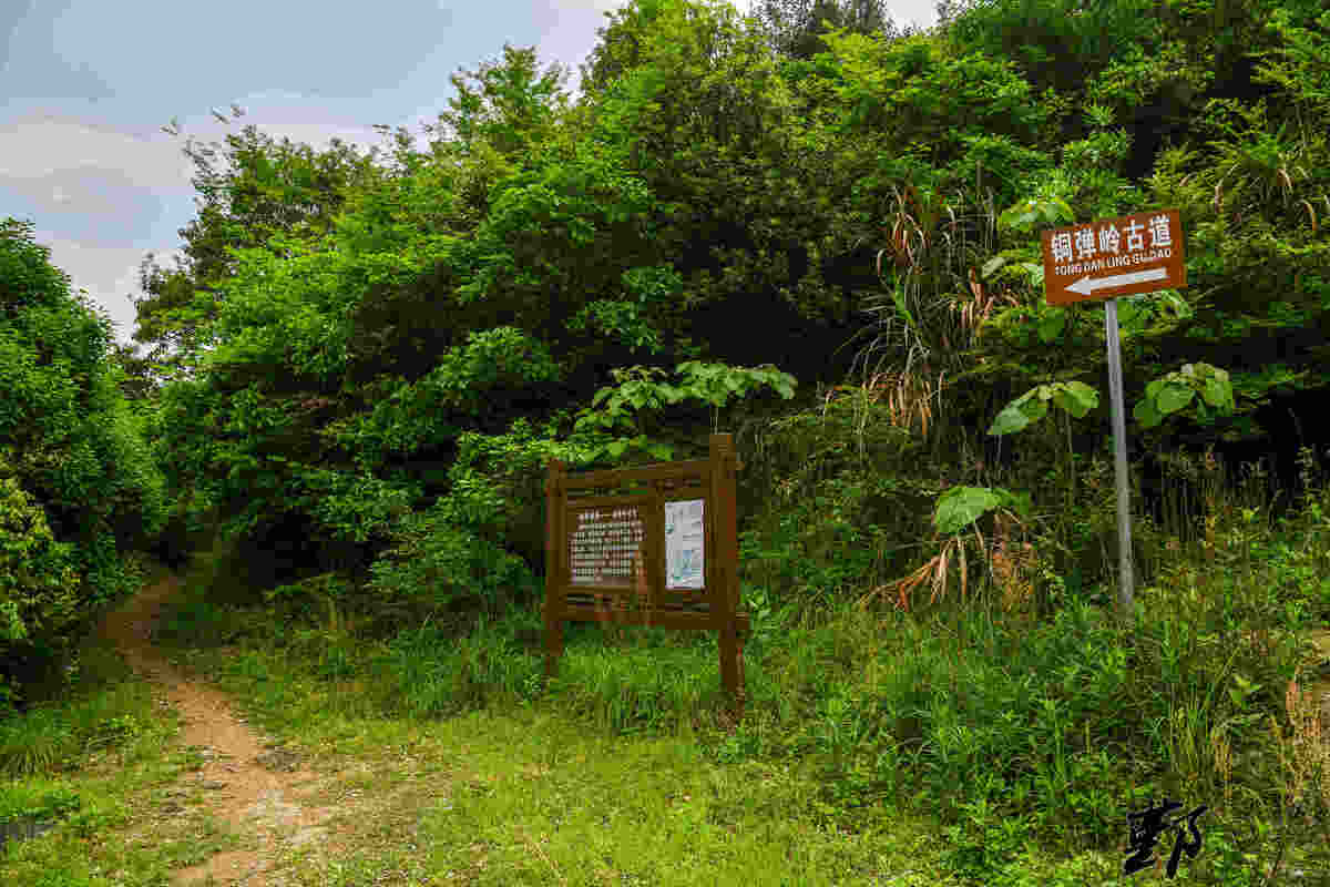 铜弹岭古道 (2).jpg