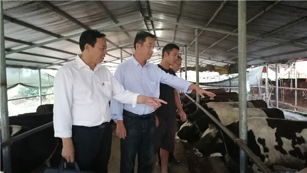 驻村第一书记曹地心系扶贫扎根黄土地