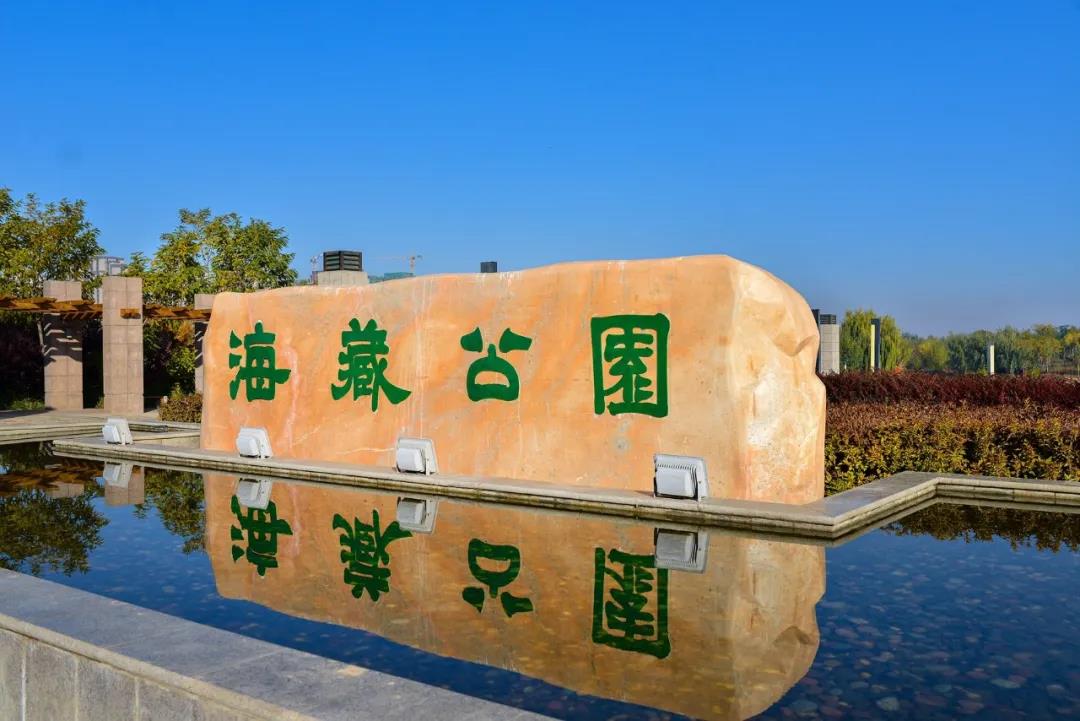 武威海藏湿地公园韵致