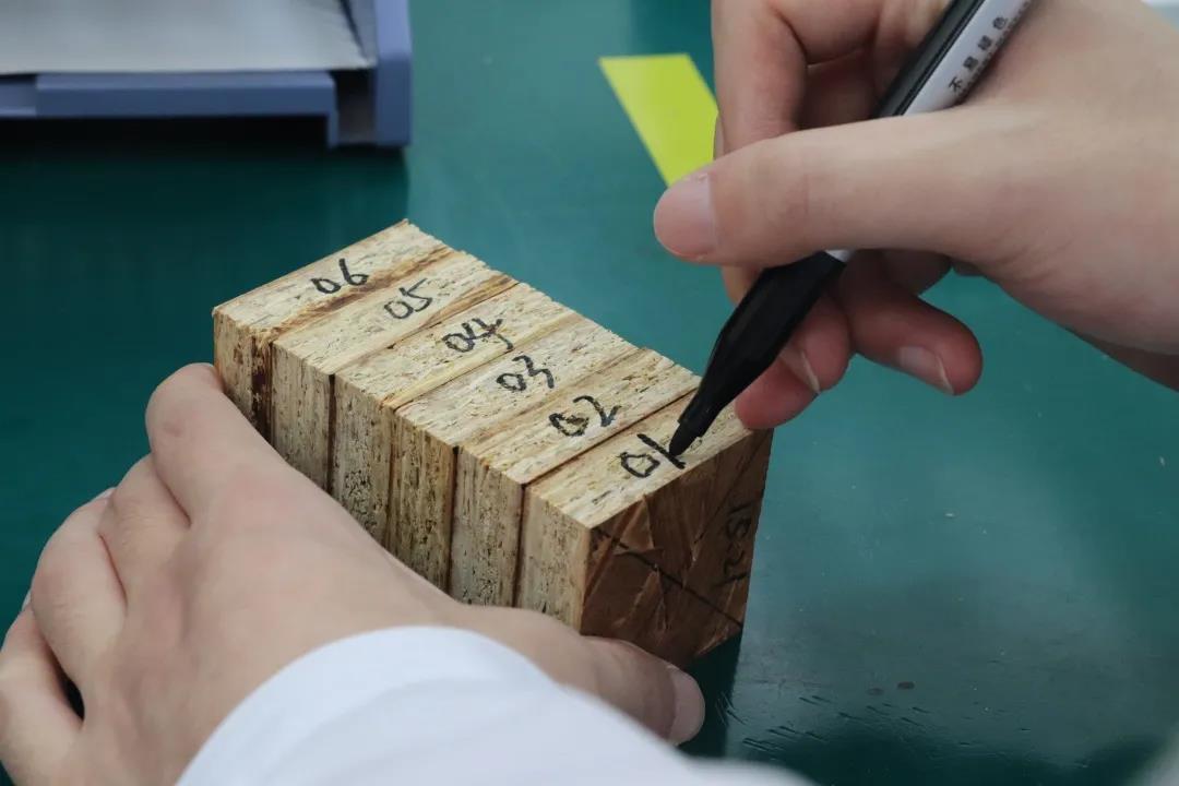 11.9 消防日特别企划 丨凤凰网家居 x 澳思柏恩 阻燃OSB板检测数据大曝光