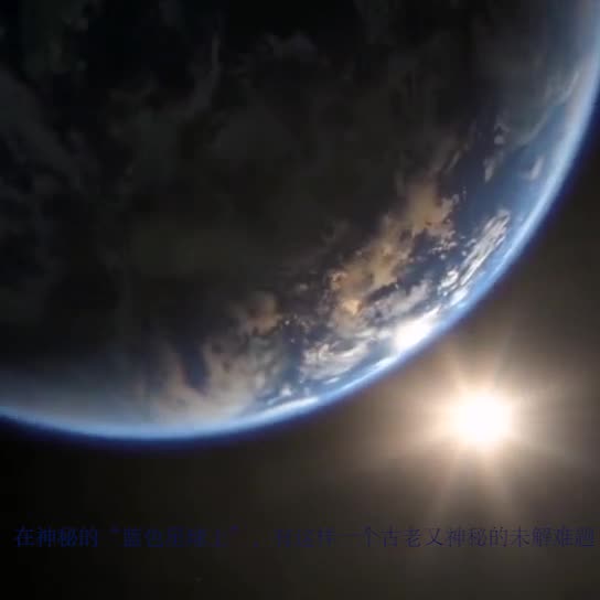 41 北京工商大学 计算机科学与技术 唐昱倩