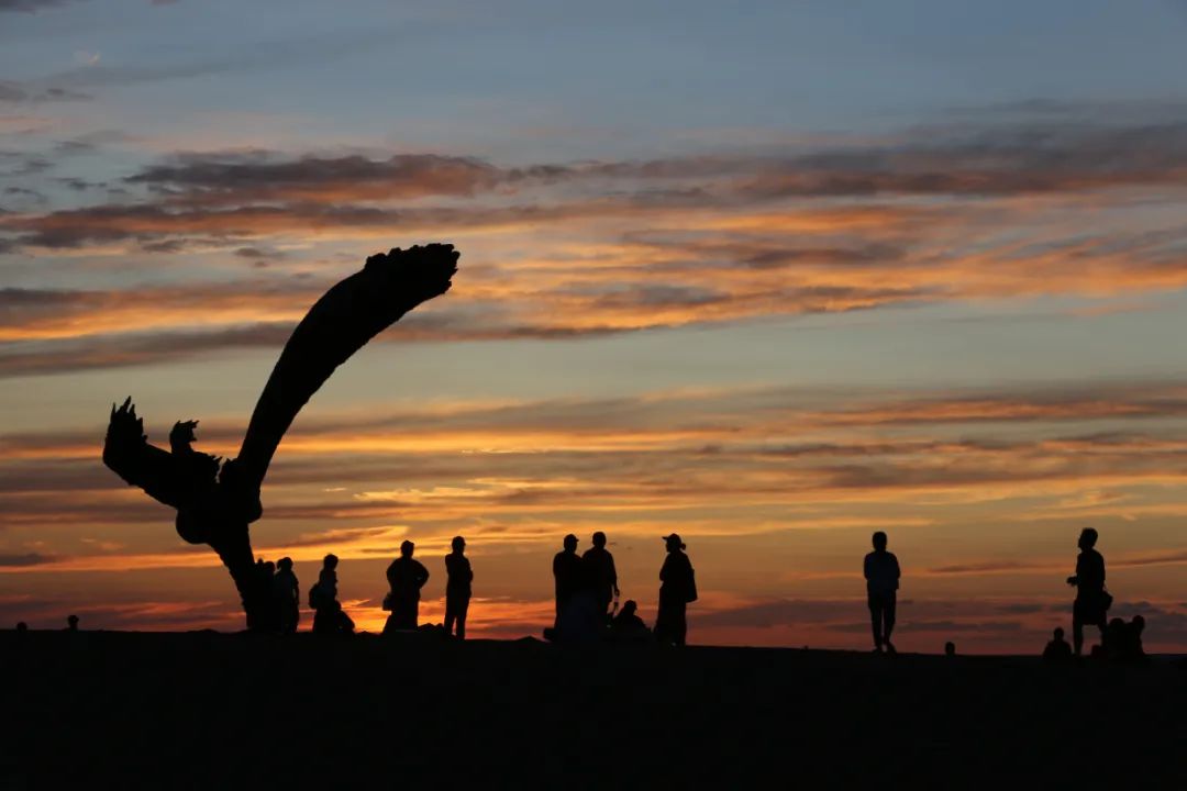 冬春游武威 走进晶莹剔透的童话世界