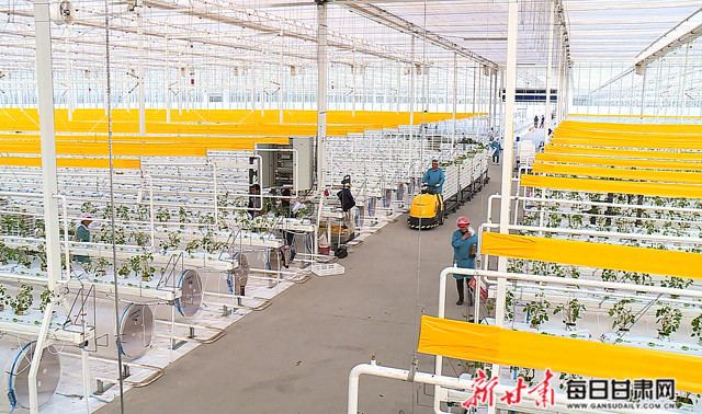 现代化的张掖海升现代智能温室