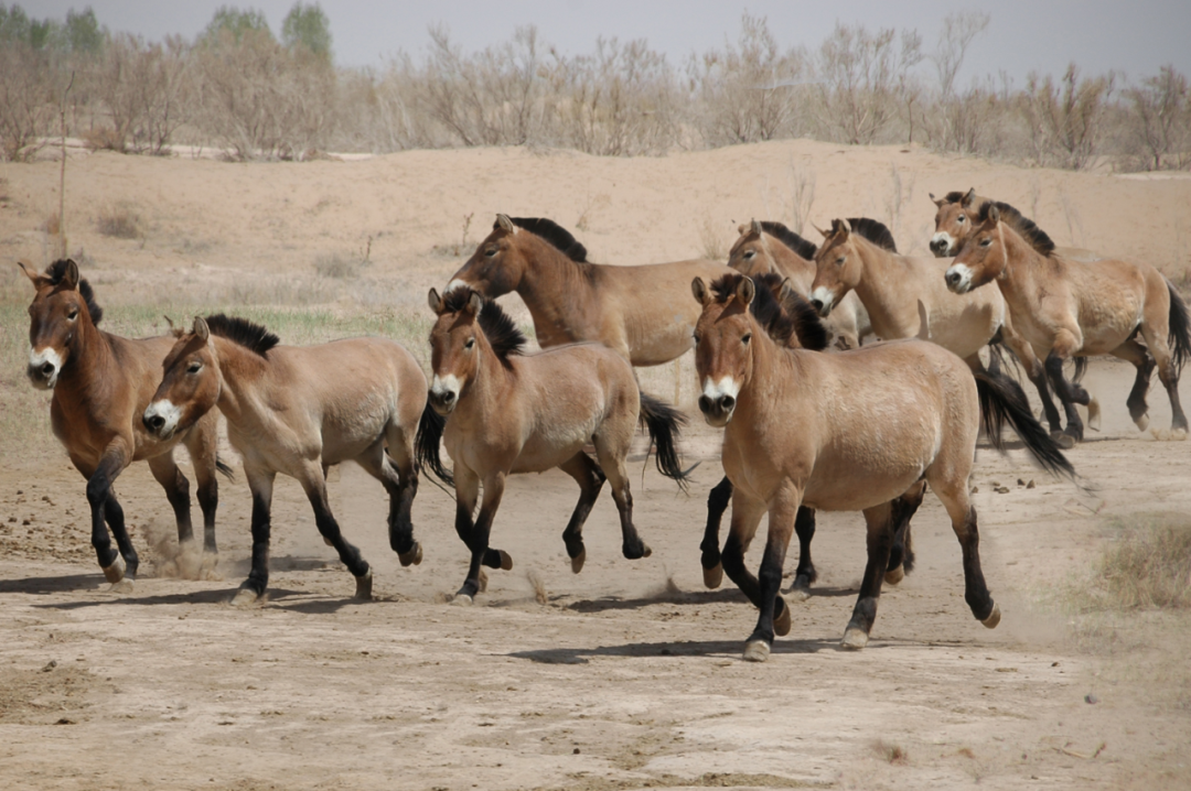 冬春游武威 走进晶莹剔透的童话世界