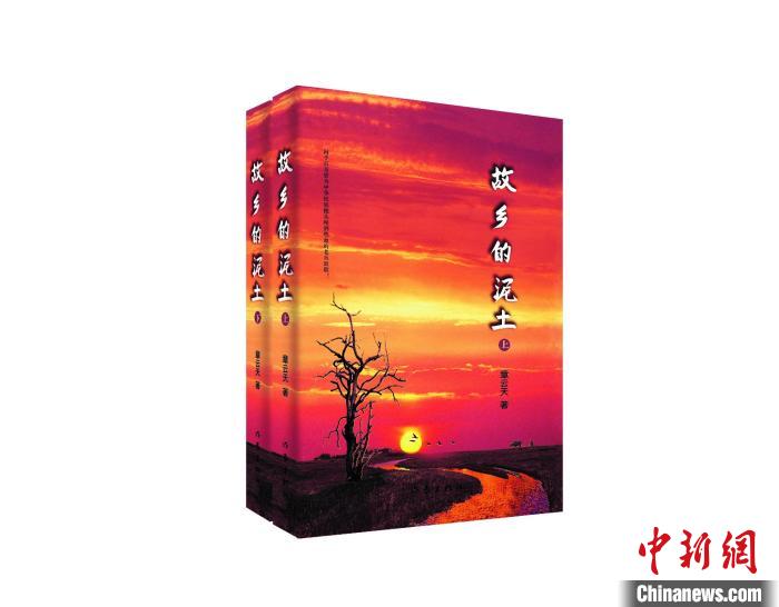 长篇小说《故乡的泥土》：新视角下之农村题材