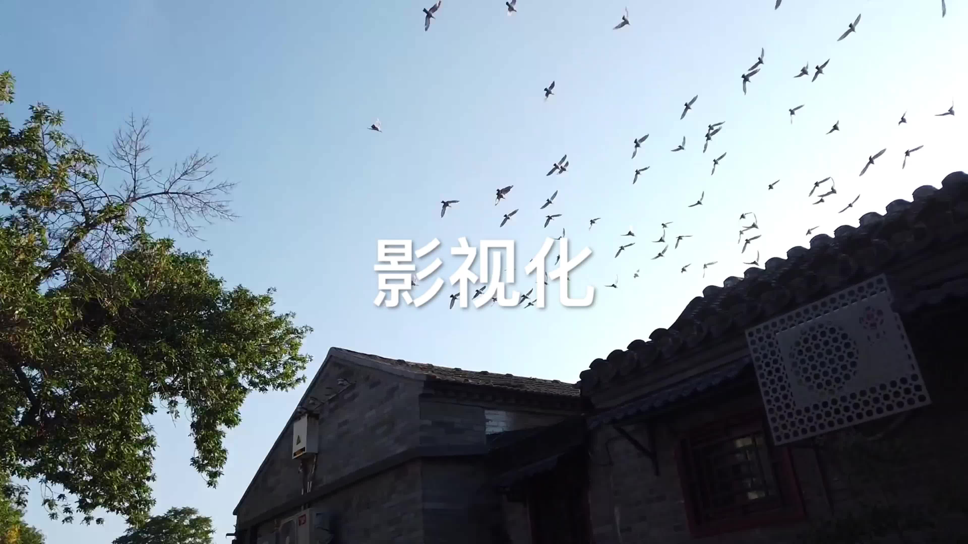 47 北京师范大学 戏剧影视文学 卢品言