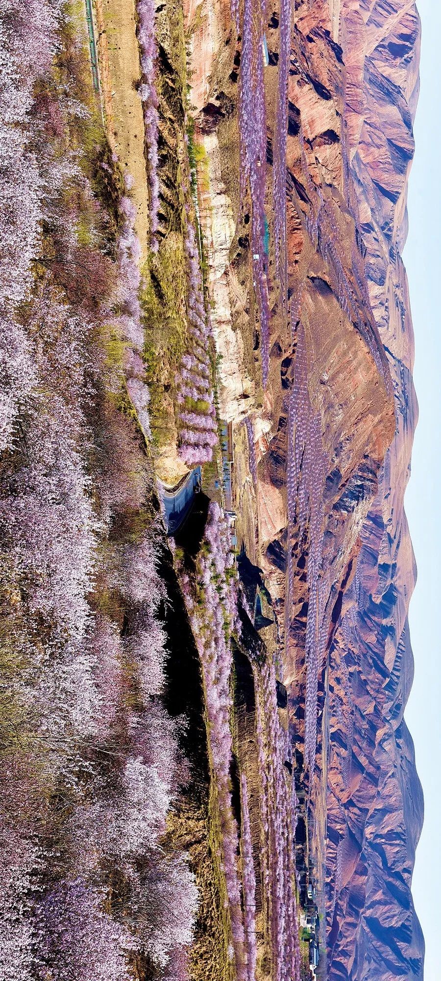 摄影/陈锦凯