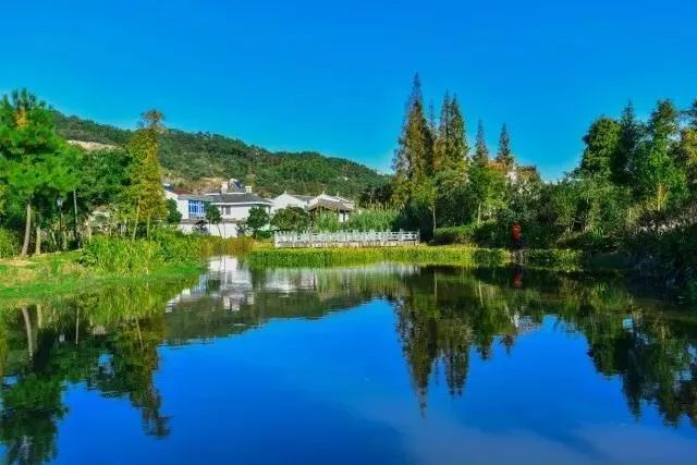 江北区洪塘街鞍山村 千年古刹保国寺座落于此