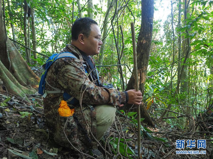 热带人口占_中国肥胖人口占比