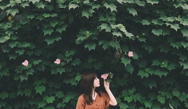 极致轻便 尼康Z DX 16-50mm f/3.5-6.3 VR体验