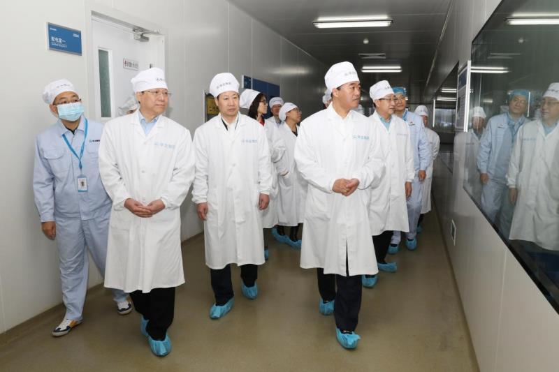 国药集团副总经理胡建伟一行到冀中能源华药集团参观考察