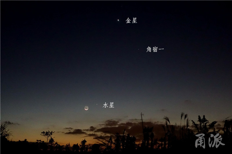11——11月14日清晨5点26分,“水星合月”壮观景象,上方的最亮星是金星,金星下方的是角宿一,月亮带着鬼影与水星相依相伴,24小时的时间内月亮从金星边上移动到水星的前方.jpg