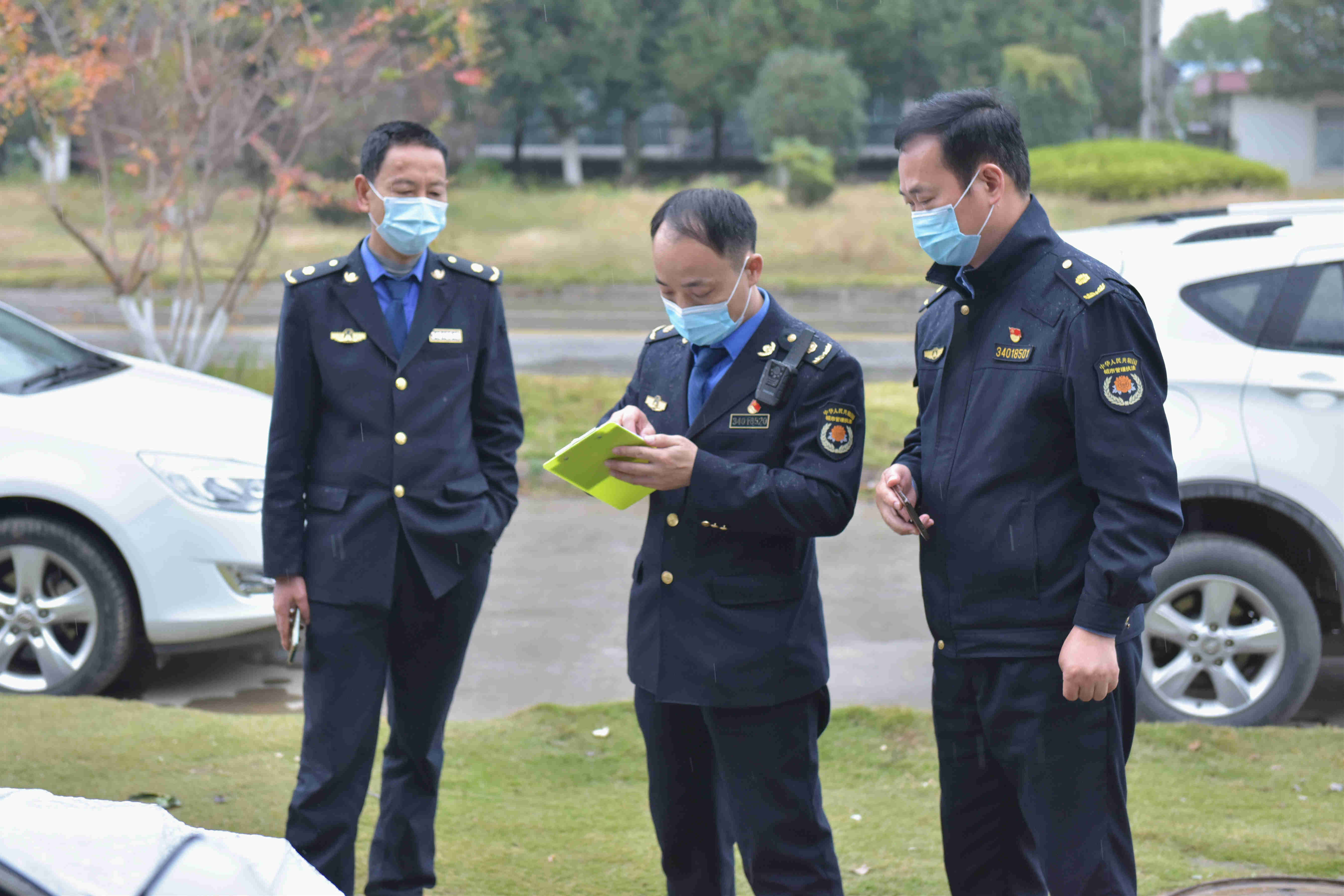 庐江城管多措并举遏制损绿不文明行为