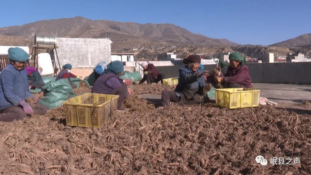 岷县：特色产业“种”出美好生活