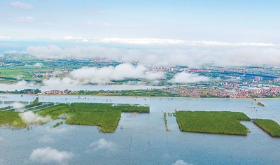 水清鱼丰，更添新滋味