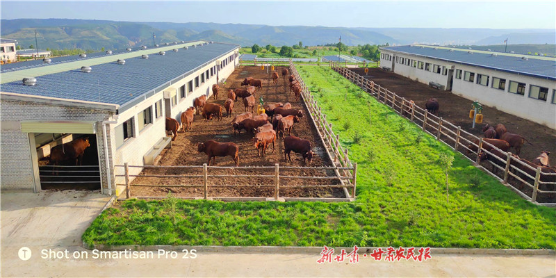 富民“牛”产业 品牌“红”四海