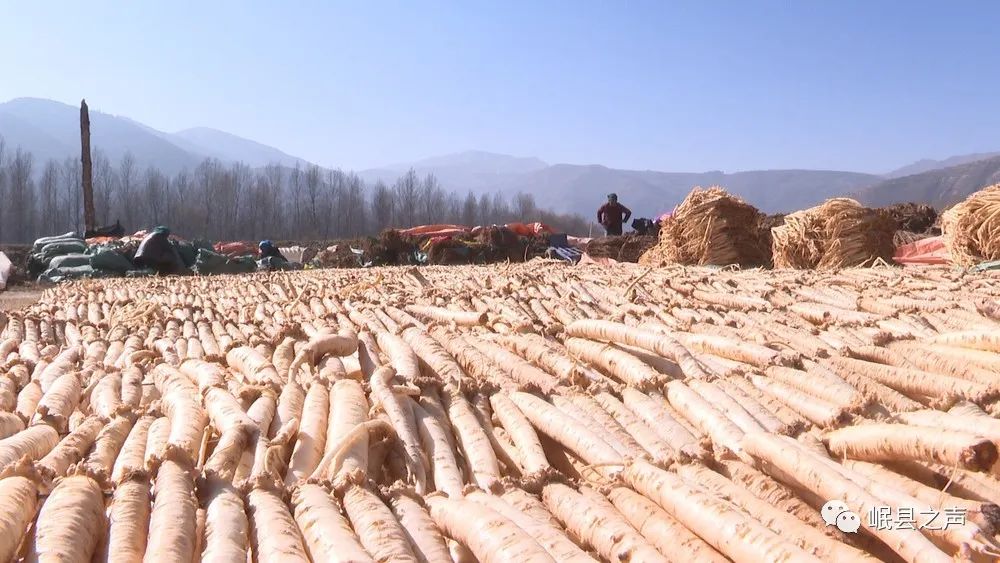 岷县：特色产业“种”出美好生活