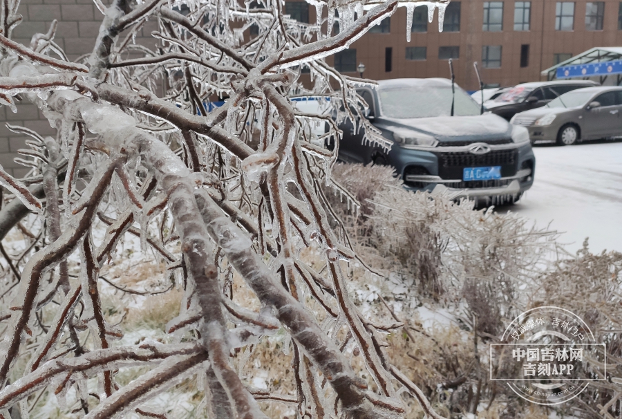 受18日冻雨影响，“冰挂”奇观再现。