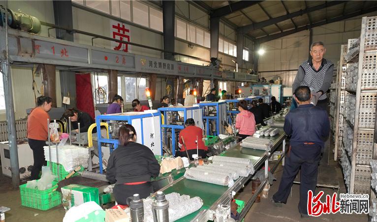 11月20日，河北省阜平县食用菌产业园区内工人在忙碌。