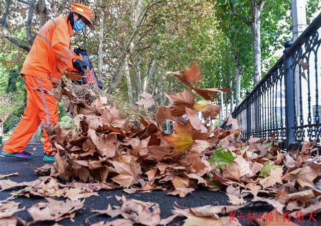 在汉口解放大道，环卫工人正在奋力清扫落叶